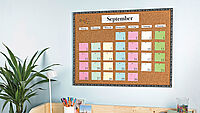 Organizer 