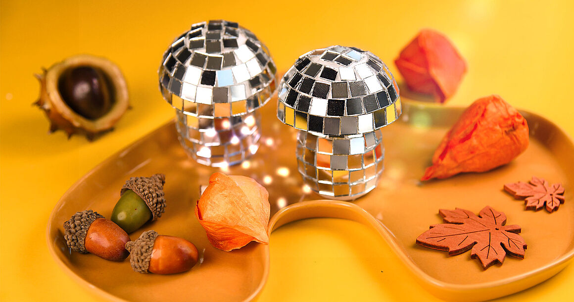 Discoschwammerl