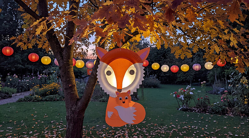 Fuchs_Laterne - Final