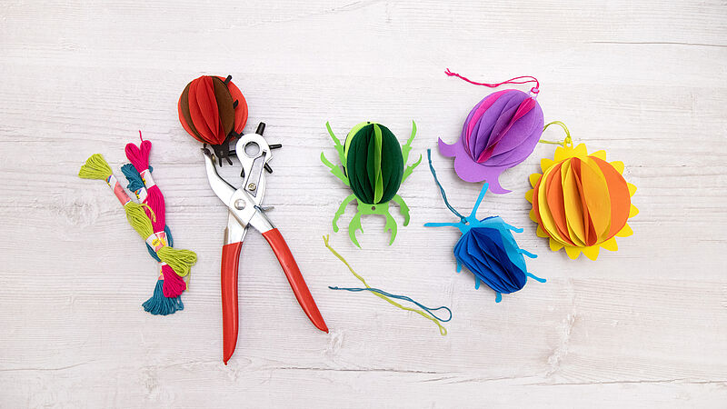 Wabenkäfer - Schritt 6