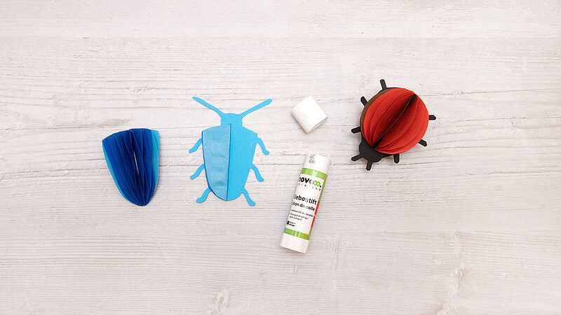 Wabenkäfer - Schritt 5