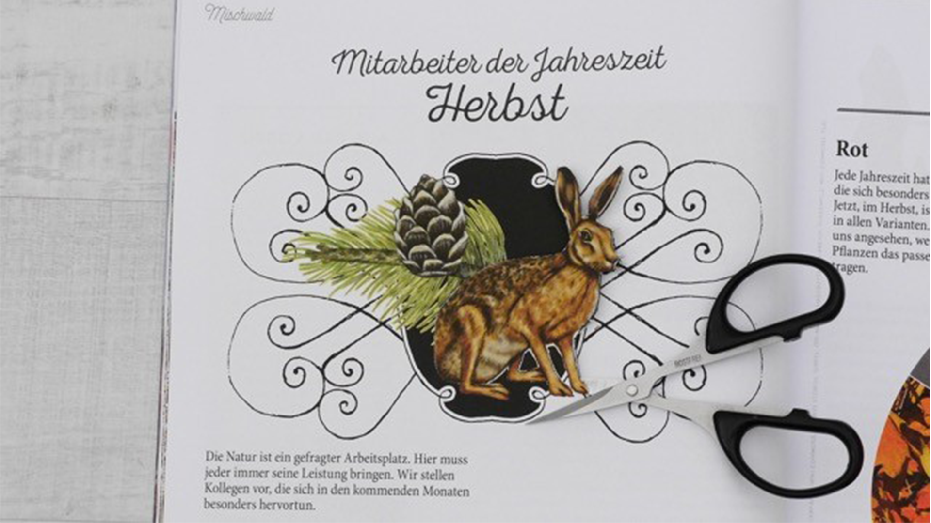 Buntes Briefpapier
